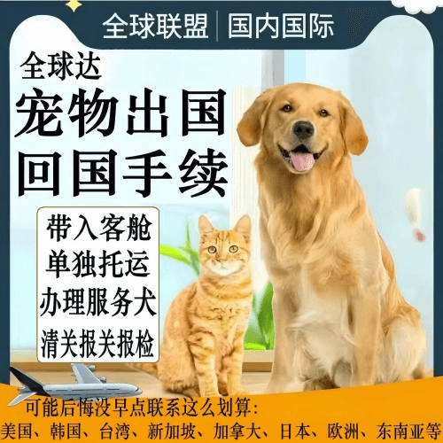 眉山市宠物托运到柬埔寨宠物入境规定和要求