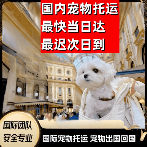 眉山市到澳大利亚（澳洲）宠物入境规定和要求