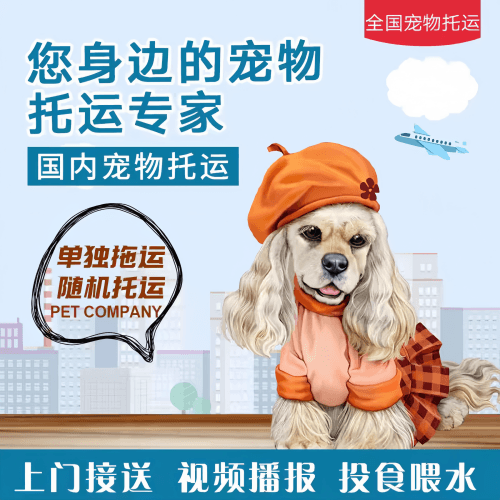 满财眉山市宠物全球达宠物托运作为专业的宠物运输代理机构
